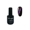 /product-detail/amazon-top-selling-gel-polish-top-coat-6-colors-collection-black-gel-polish-kit-cat-eyes-magnet-color-changing-glitter-gel-62388590814.html