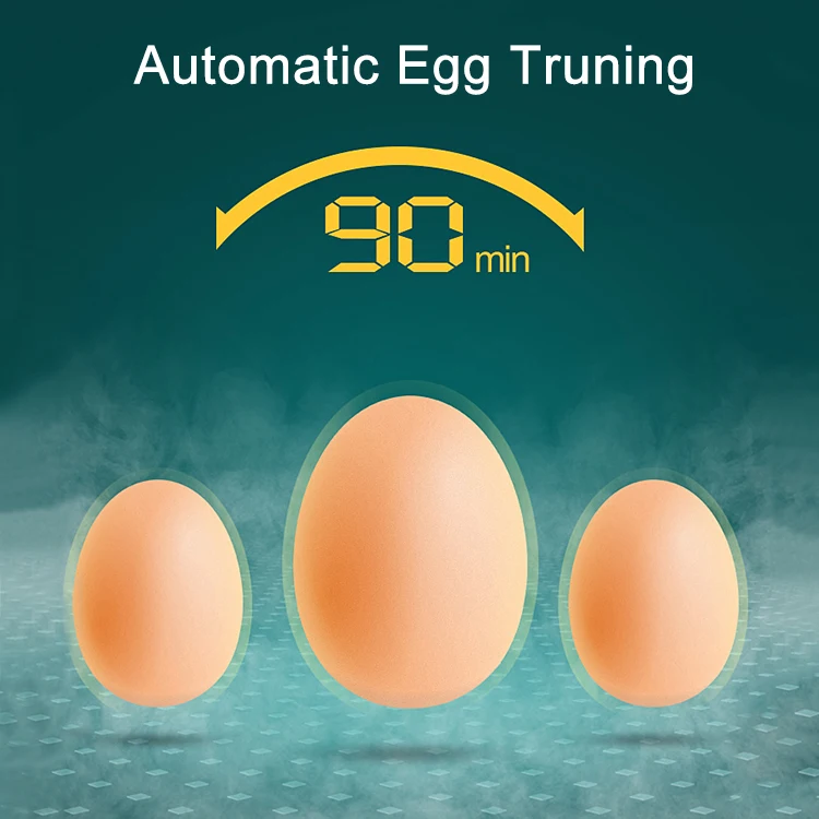 880 egg incubator-43.jpg