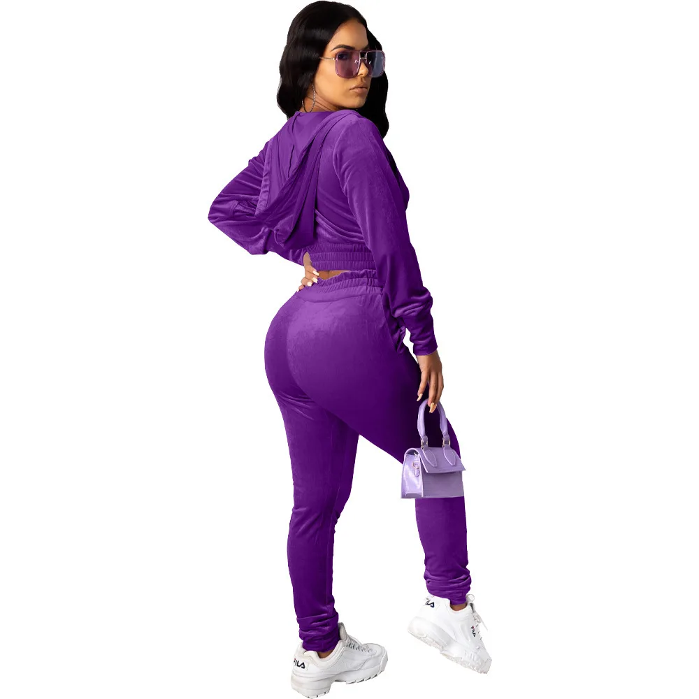 

Women summer clothes 2021 Velvet hoodie long sleeve jogger ladies sweat suits pants tracksuits women 2 piece set clothing, Picture shows