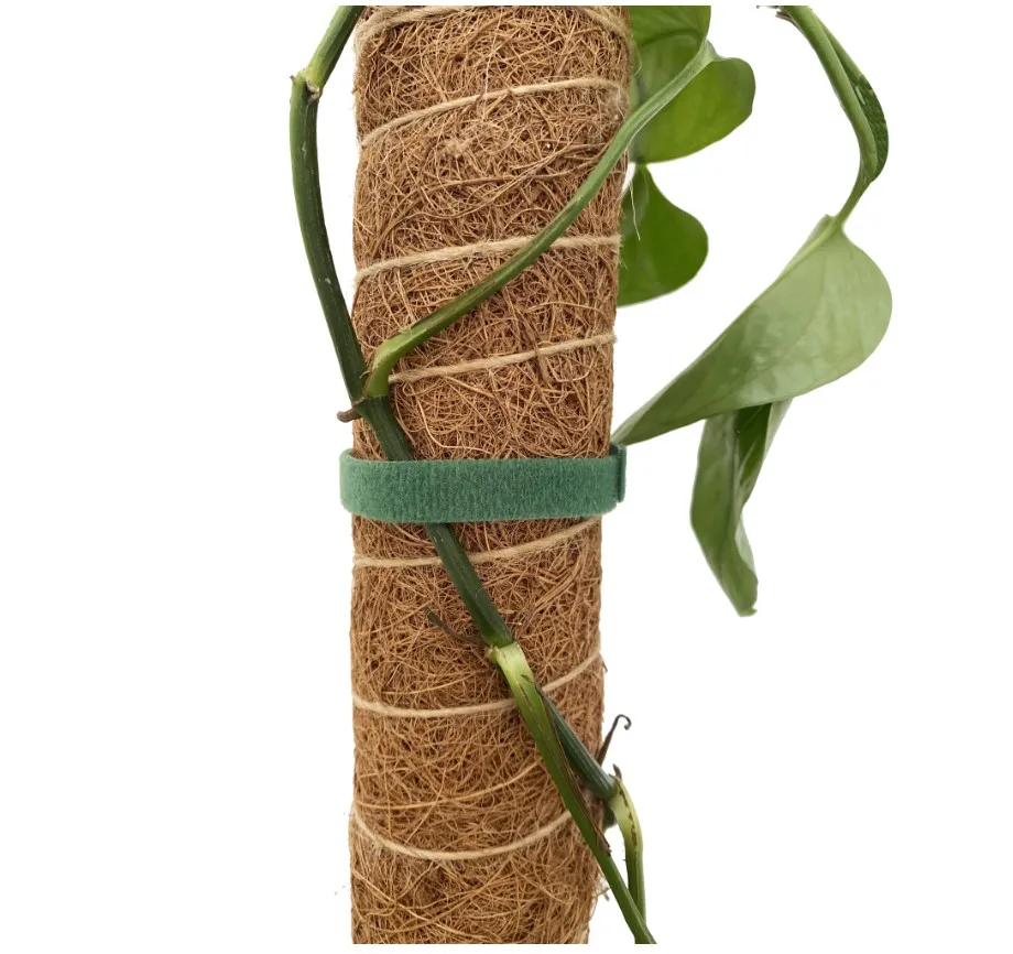 

2021 Newly Developed 100% compostable natural coir moss poles plant support sticks, Natural coco coir brown