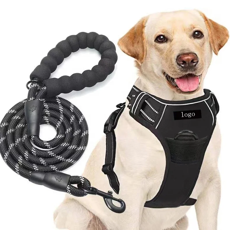 

Custom Luxury Reversible Strong Reflective pecheras para perros No Pull Dog Leash And Harness Set OEM Christmas Dog Harness vest