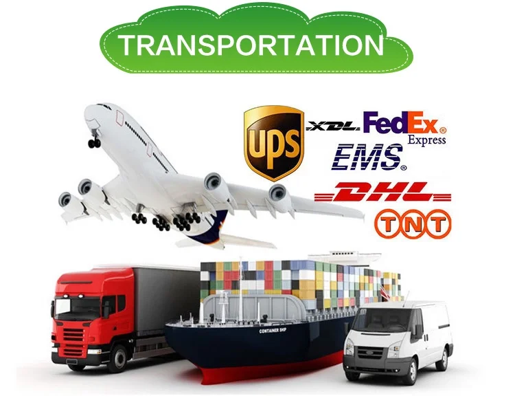 transportation