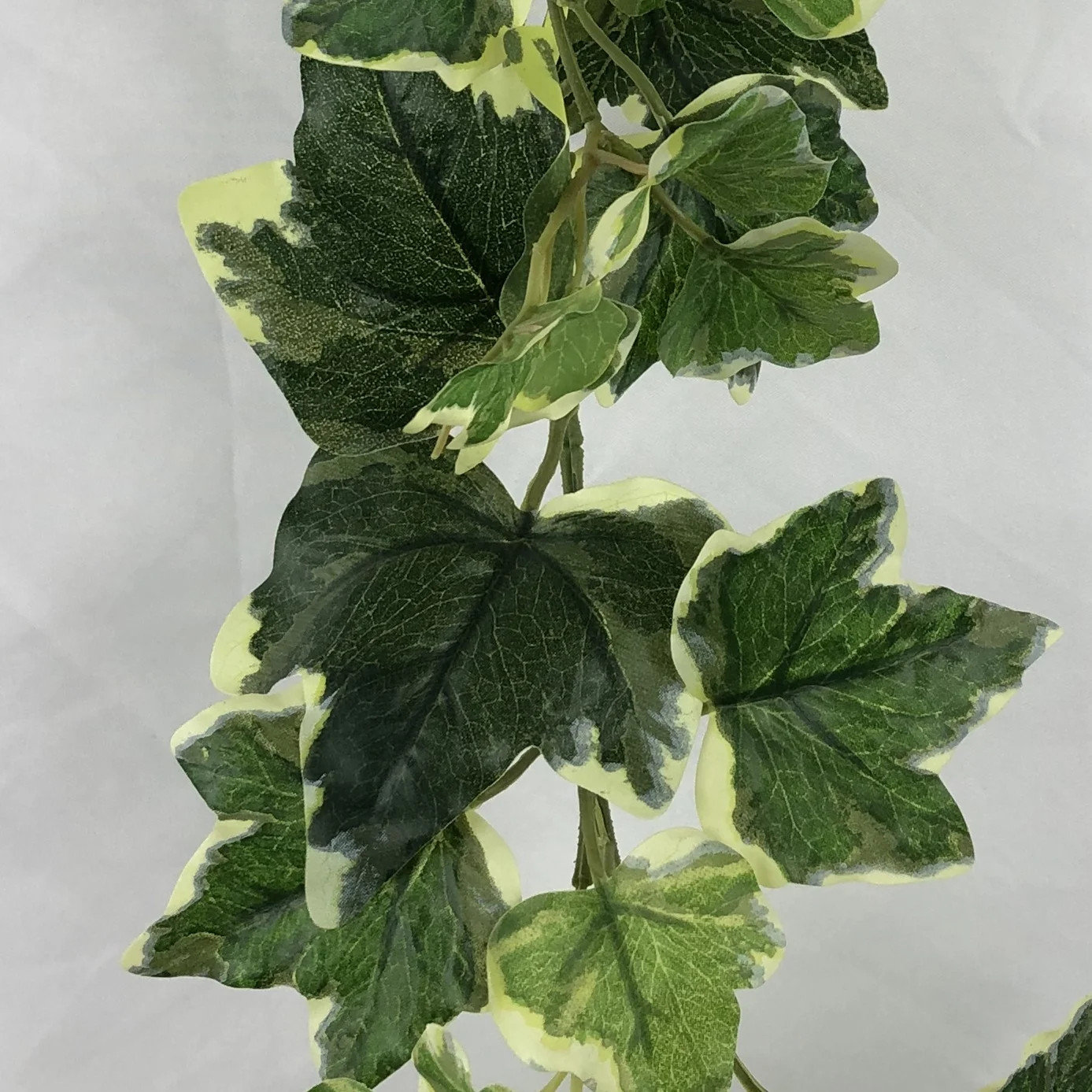 

wholesale silk Fittonia leaves vertical artificial ivy leaves vine hanging greenery garland, Green color and red white edge