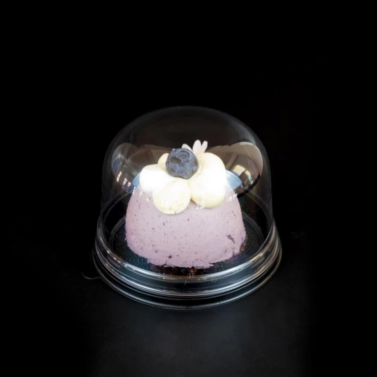 

Customization PET Disposable Plastic Small Cake Dome Container