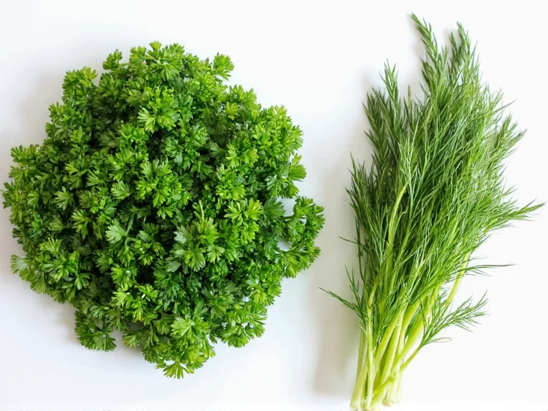 Best Substitutes for Fresh Dill in Cooking