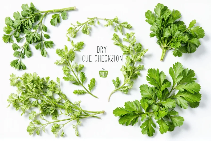 Parsley in a salad