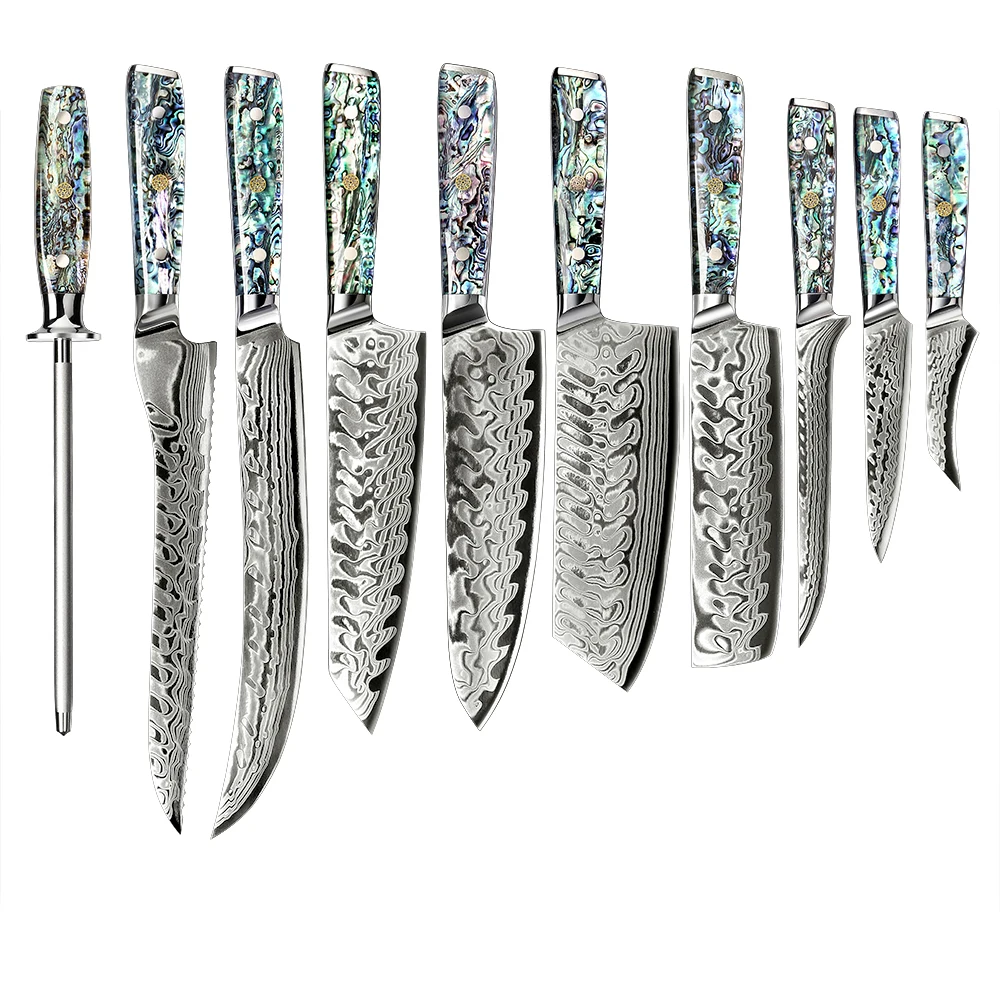 

10 pcs Professional Handmade Cooking Cutlery Set Butcher Damascus Kitchen Knives Chef Knife Set With Abalone Handle