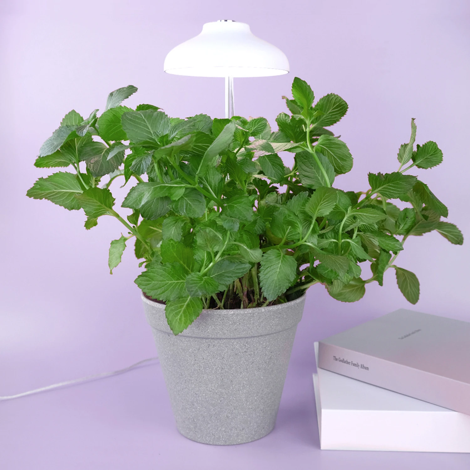 

LED umbrella plant grow light height adjustable mini grow light home indoor decoration and garden herb garden with light