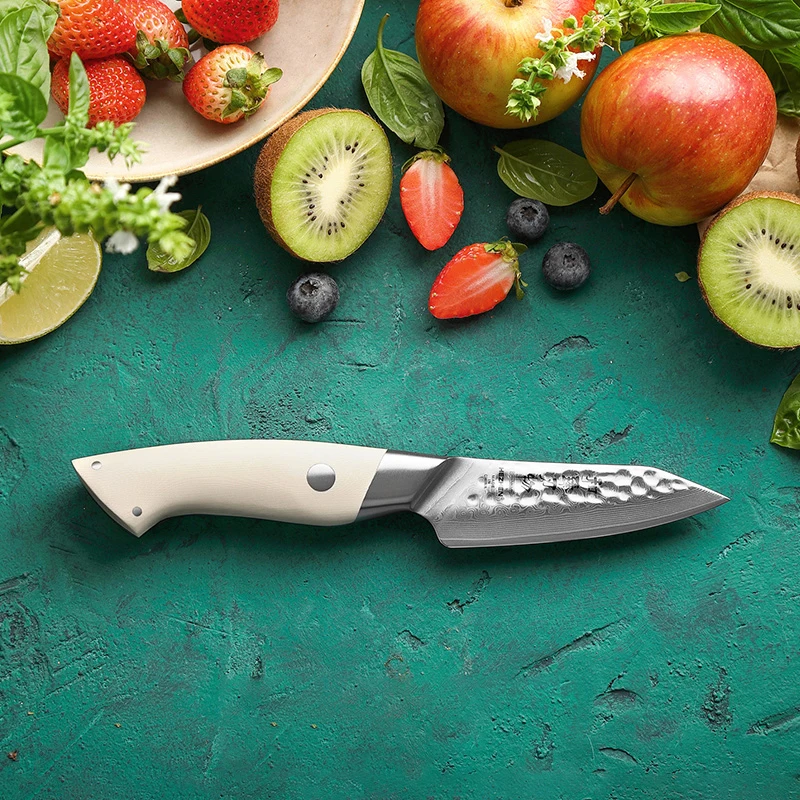 

HEZHEN Hot Sale Japanese 67 layers Damascus Steel Ivory white G10 Handle Kitchen Fruit Paring Knife with gift box