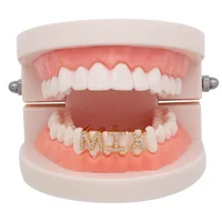 

Fully Iced Out Hiphop English Letter Grillz 3A CZ Initial Single Teeth Grill Canine Vampire Fangs for Unisex