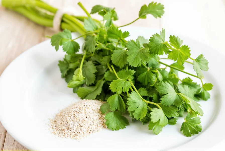 Cilantro plant with seeds