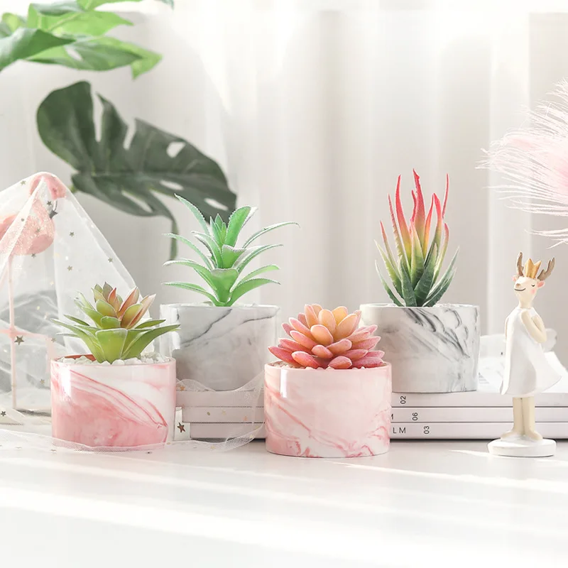 

Mini Succulent Plants Artificial Decoration Plants Potted Succulents Plastic Grass, To be required