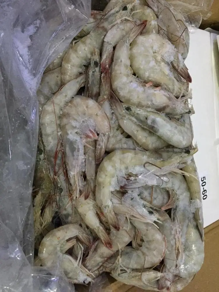 
Frozen shrimp 