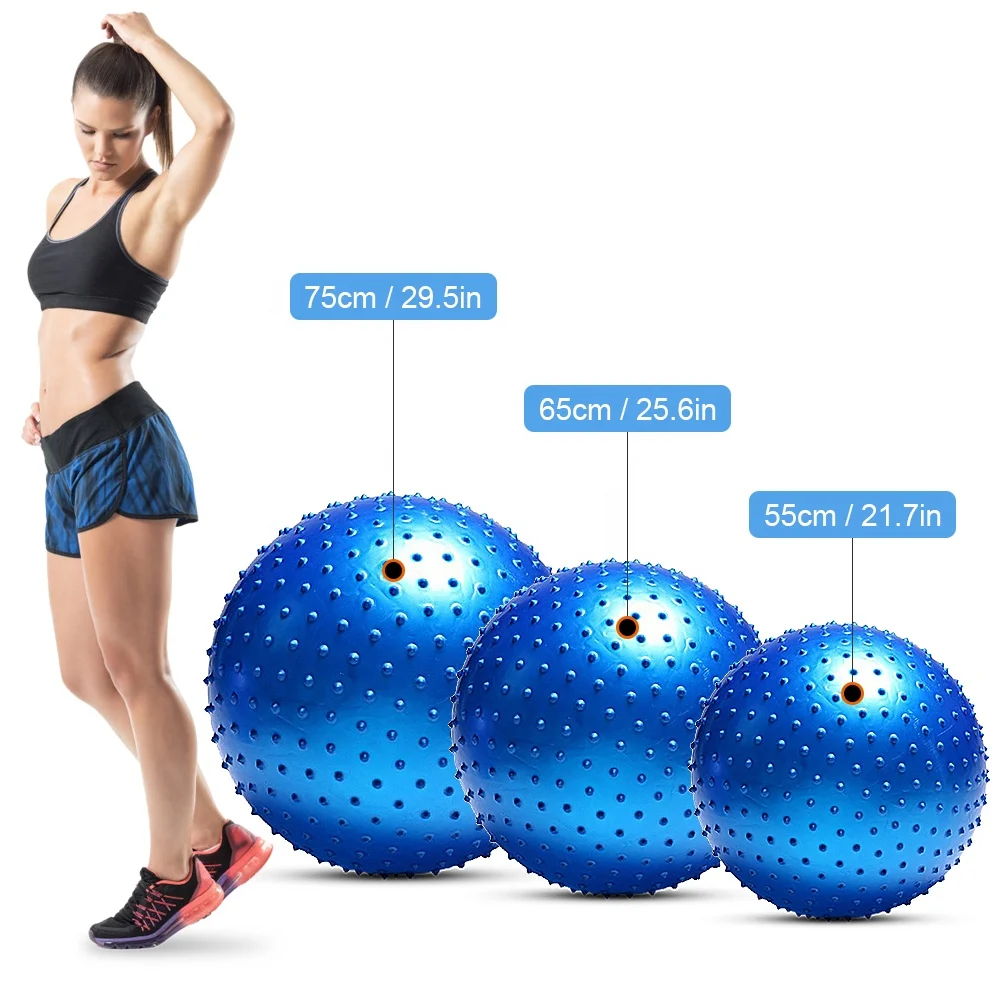

TY 55CM / 65CM / 75CM Anti-burst Yoga Ball Thickened Stability Balance Ball Pilates Physical Fitness Exercise Ball Gift Air Pump, Pink / blue / silver / purple / red (optional)