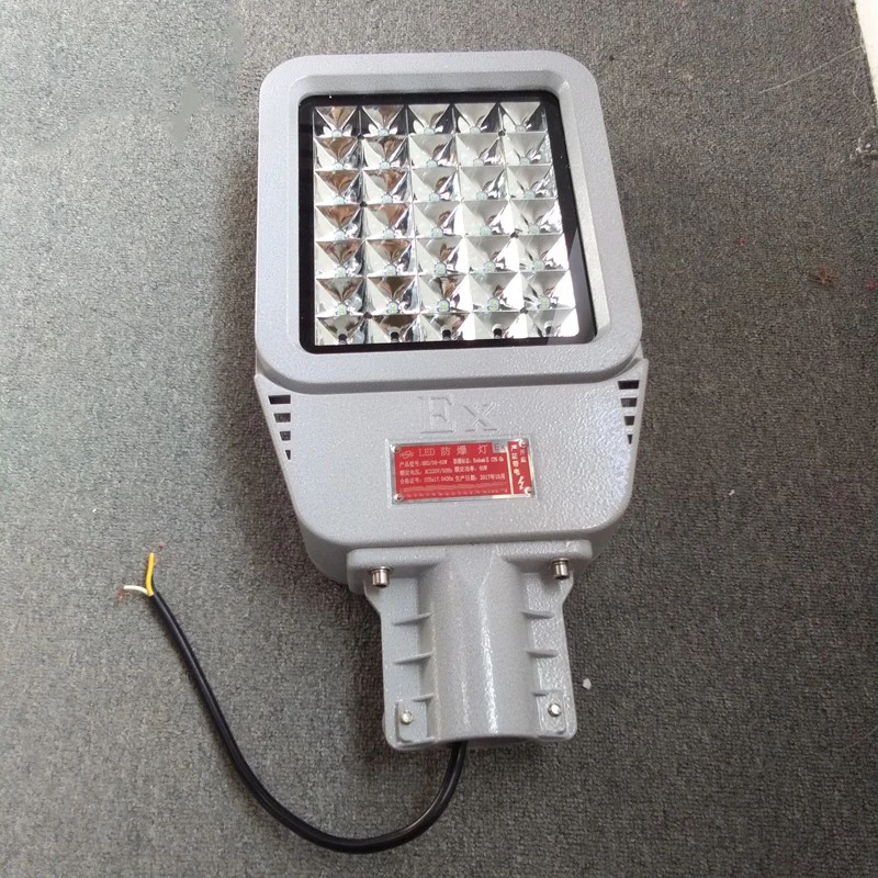 HRD9 Maintenance-free Explosion-proof LED Road Lamp High efficiency Explosion-proof street lamp pole