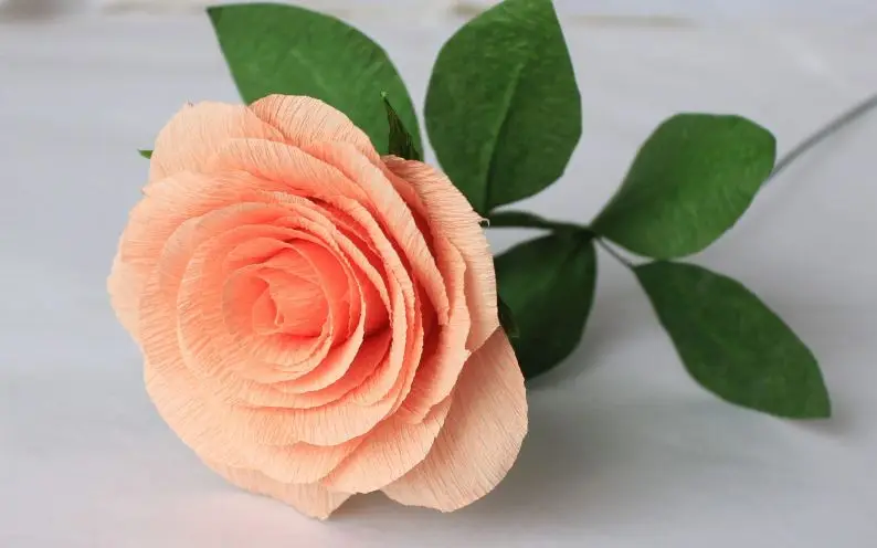 
China Supplier Hygienic OEM Crepe Neck Ruffles Paper in Roll for Beauty Salon 