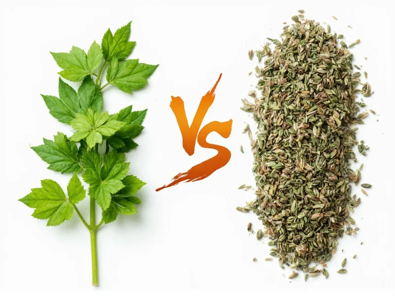 Fresh vs Dried Herbs Conversion: Simple 3:1 Ratio Guide