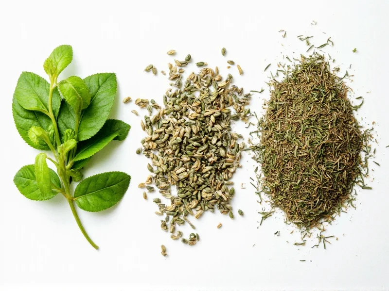 Fresh to Dry Herb Conversion: 1:3 Ratio Guide