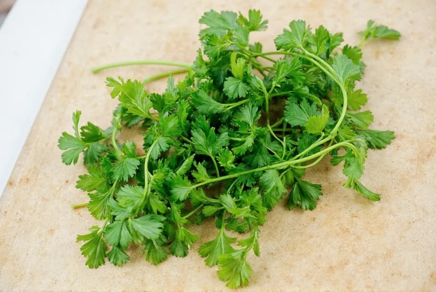 Mexican Coriander: What It Really Is and How to Use It