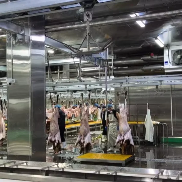 Automatic Halal Sheep Slaughtering Line Complete Goat Abattoir Machine Industrial Sheep Hair RemoveMachine for Meat Plant