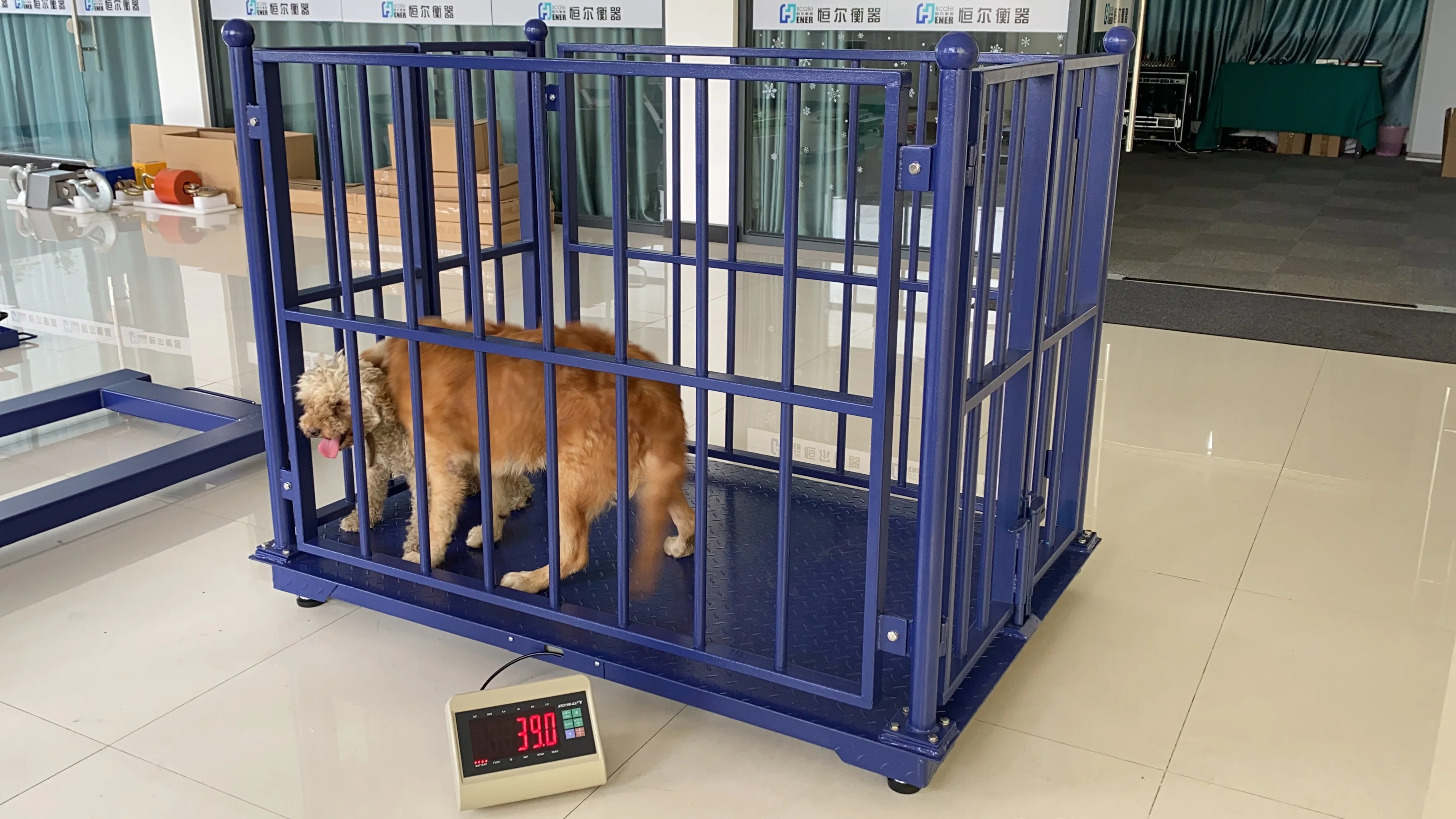 1.5 Ton Cattle Floor Weighing Scales - Accurate Livestock Weighing
