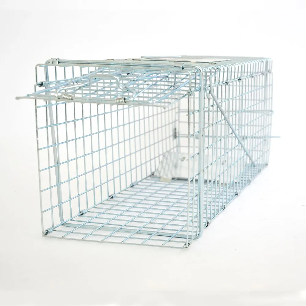 

Collapsible Galvanized Metal Wire Mesh Live Animal Trap Cage