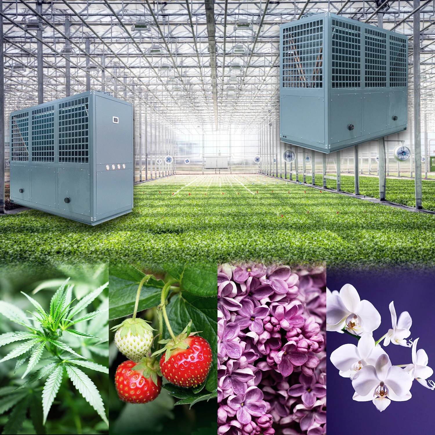 
No Moq air cooled water chiller hydroponics water cooling system 
