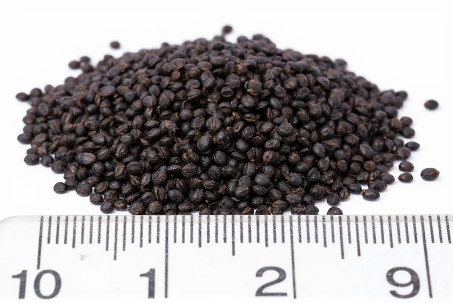 Close-up view of black seed cumin (Nigella sativa) seeds next to measuring scale showing their small size and distinctive matte black color