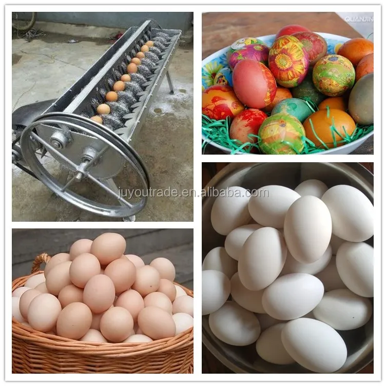 Double Row Electric Water Recycle Use Hen Egg Cleaner Equipment Duck Egg  Washing Machine - AliExpress