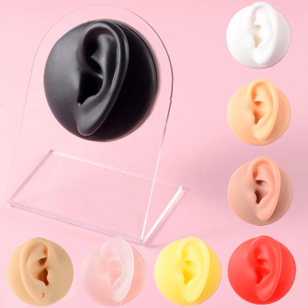 

Puncture Practice Body Piercing Jewelry Simulation Human Silicone Ear Model With Display Stand Use For Tattoo Display Tool, As picture show