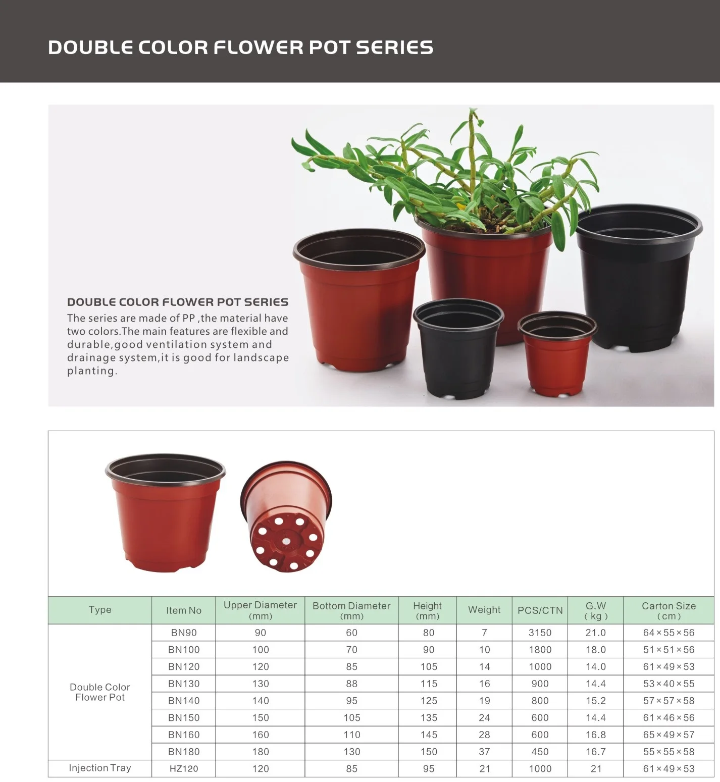 double color flower pots.jpg