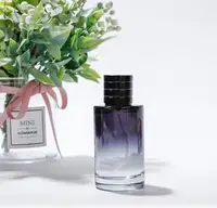 

Top quality Brand perfume 100ML Sauvage Man perfume Long Lasting Eau De Toilitte Parfum Male fragrance 100ml fast free shipping