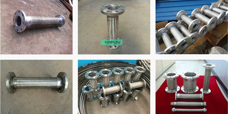 ANSI/DIN/BS/JIS/GB stainless steel SS304 SS316 SS316L flange ends flexible metal hose