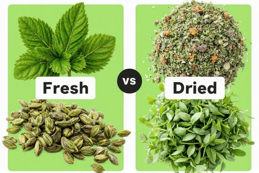 Fresh vs. Dried: How to Swap Herbs Like a Pro (Without Ruining Your Dish)