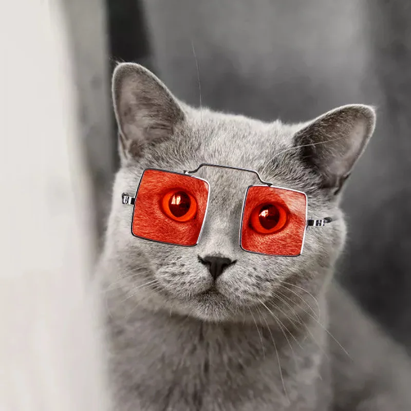 

Fashion square metal frame high quality pet cat dog go ggles sunglasses for pet, Customized color