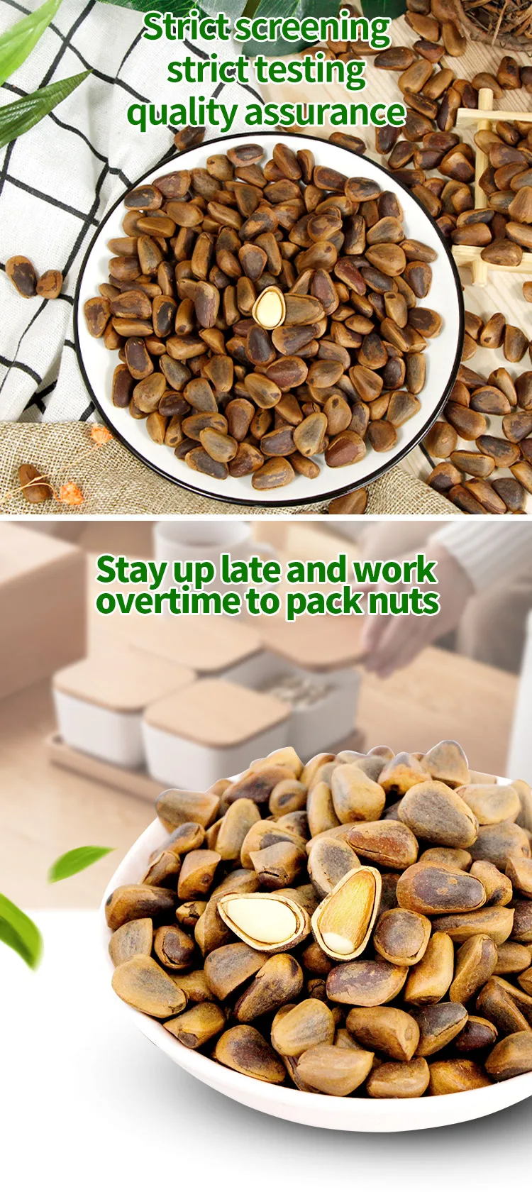 Roasted Open Pine Nut/pine Seed/pine Nuts Low Prices Buy Pine Seed