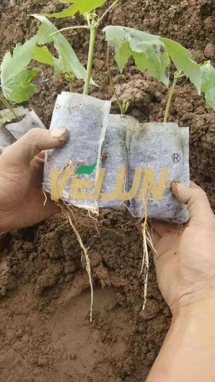 Agriculture Customized Biodegradable Mushroom Grow Bags Buy Grow Bags,Mushroom Grow Bags