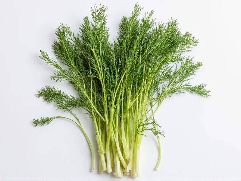 Dry Dill: Uses, Substitutions, and Storage Guide