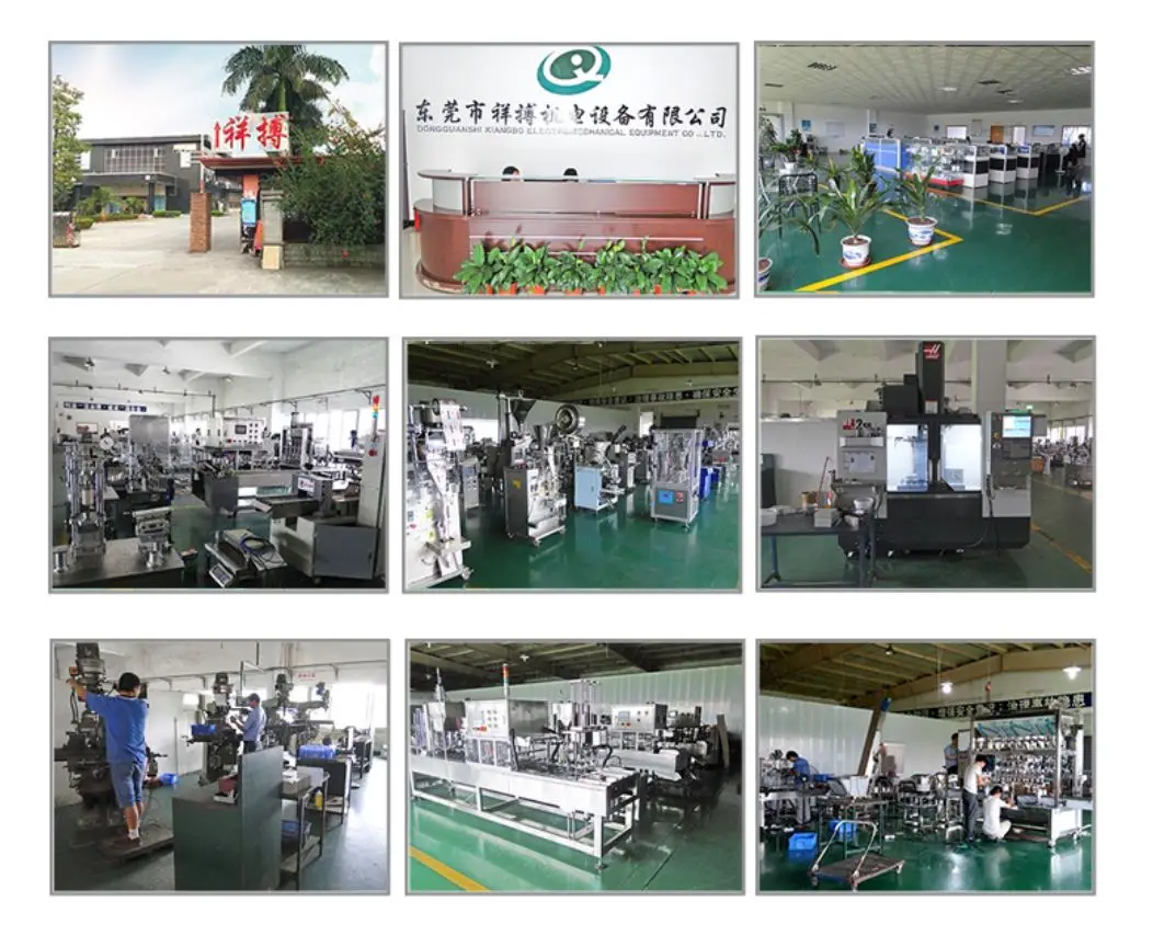 Dongguan Xiangbo.jpg