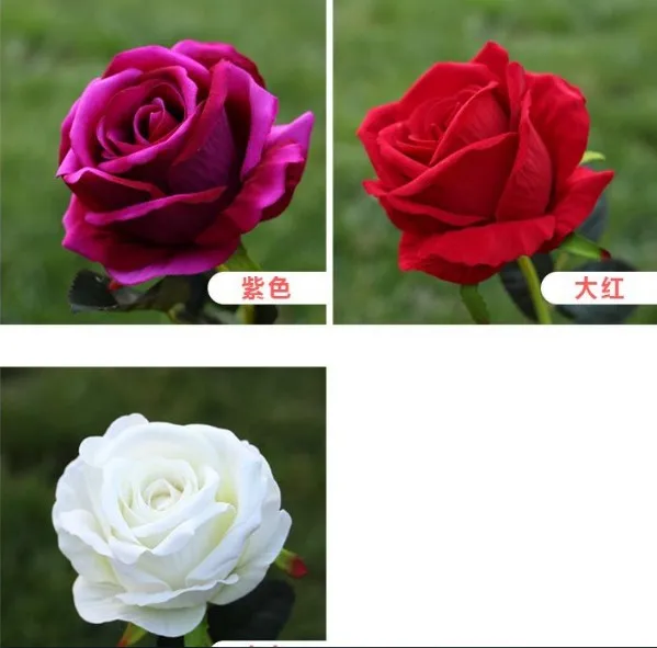 valvet rose-23.JPG