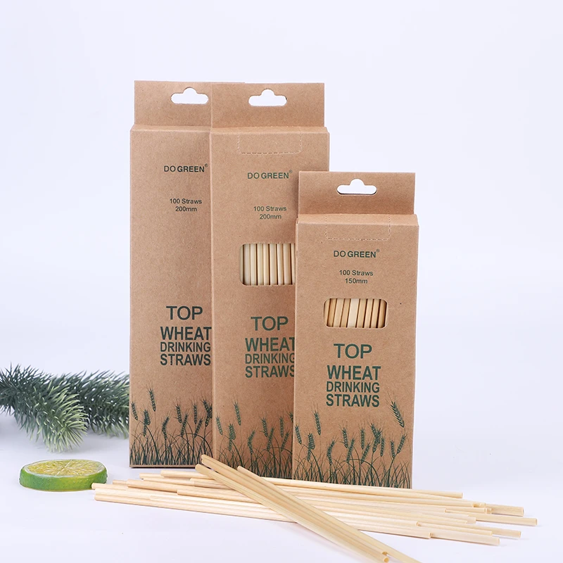 Wheat Straws Eco Friendly Degradable Disposable Paper Box Packing 100