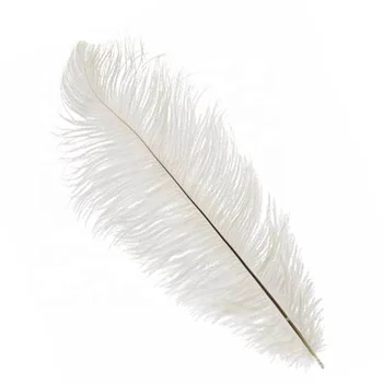 Buy Feathers From China Artificial 