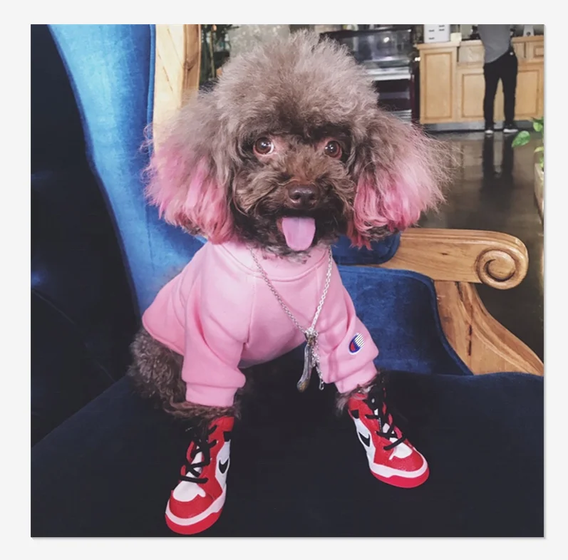 

fashion logo autumn winter pet sweater plus velvet cotton dog clothing, Same as pictures