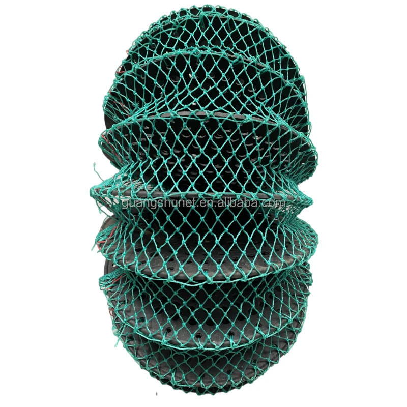 oyster Lanterns Net Scallops Lanterns Net Red De Linternas De Vieiras