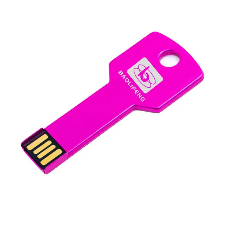 China factory directly metal key shape usb stick A grade usb chips cheap prices thumb drive compatible with computers laptops - ANKUX.COM