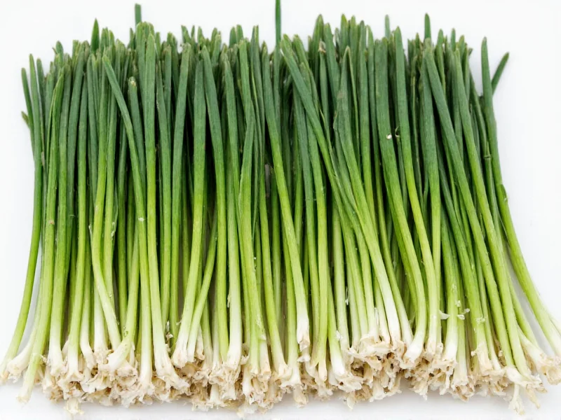 Best Chive Substitutes: Top Alternatives for Cooking