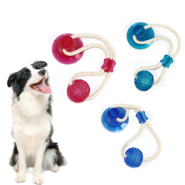 Amazon Hot Wholesale TPR Pet Interactive Chew Toy With Suction Cup Dog Ball Toys