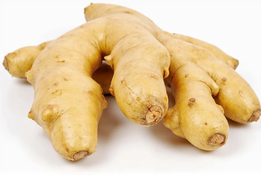 Scientific illustration showing chemical structure of gingerols and shogaols in ginger supplements