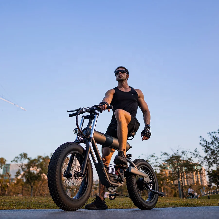 

Latest Fashion 20 inches fat tire for wholesale electric enduro bike electric trail bike hilltopper bikes