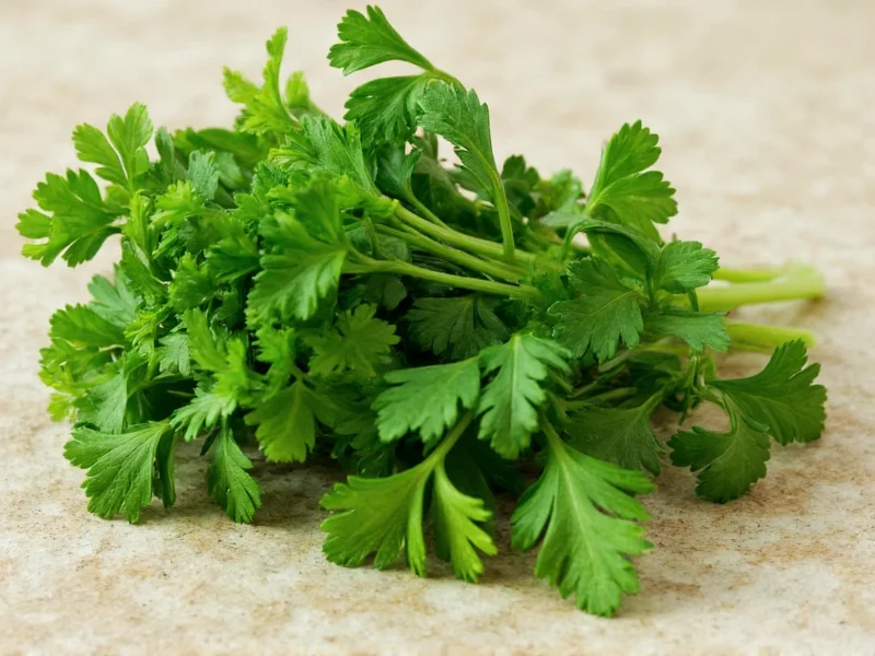 Dried to Fresh Parsley Conversion: Exact 1:3 Ratio Guide